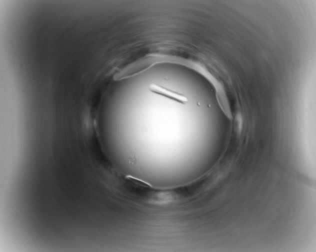 X0000099940324200805231257