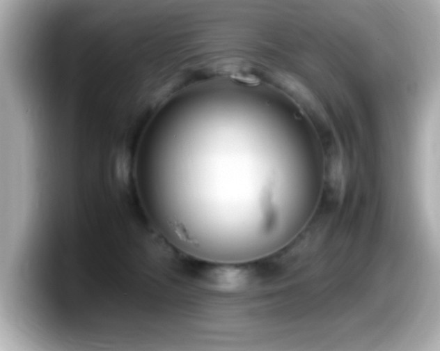X0000099940326200805231257