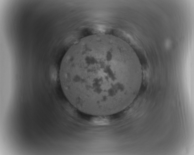 X0000099940331200805231257