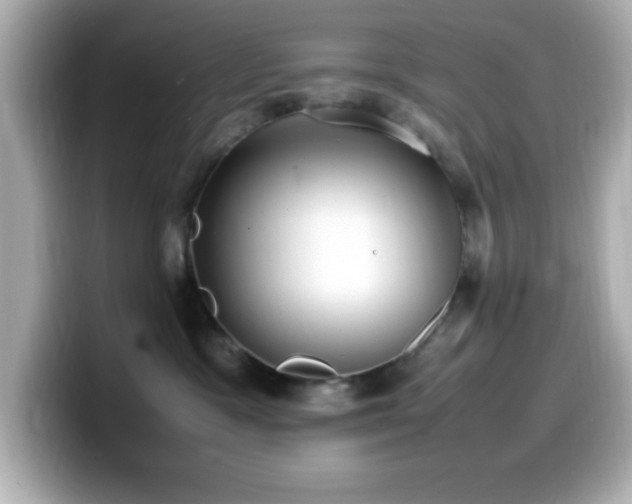 X0000099940333200805231257