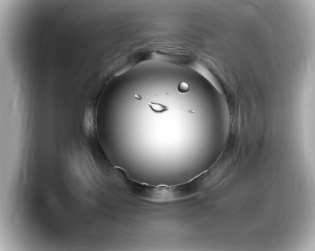 X0000099940335200805231257