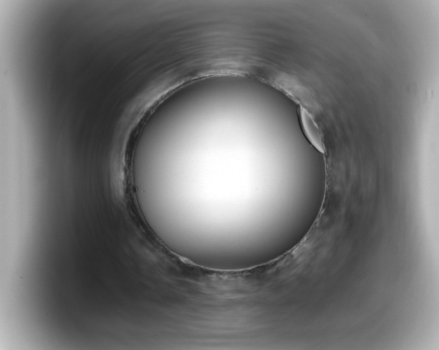X0000099940338200805231256