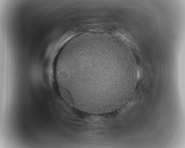 X0000099940339200805231256