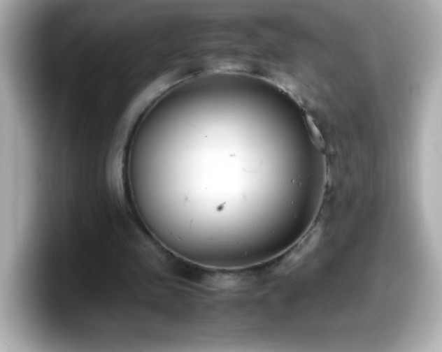 X0000099940341200805231256