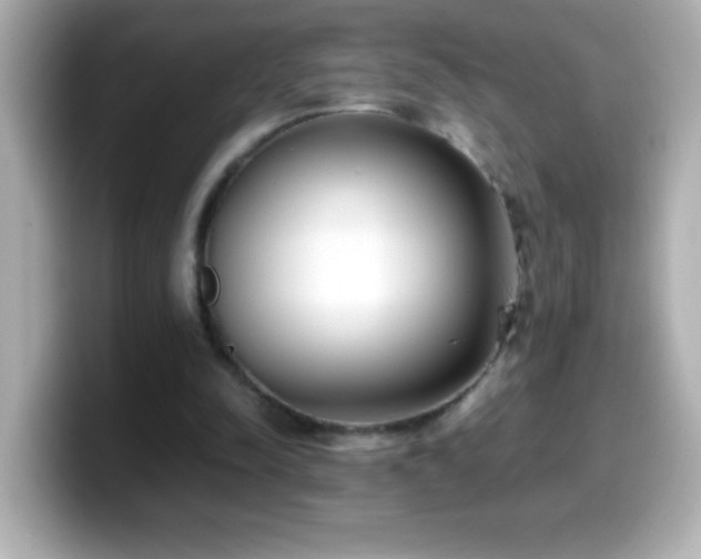 X0000099940342200805231256