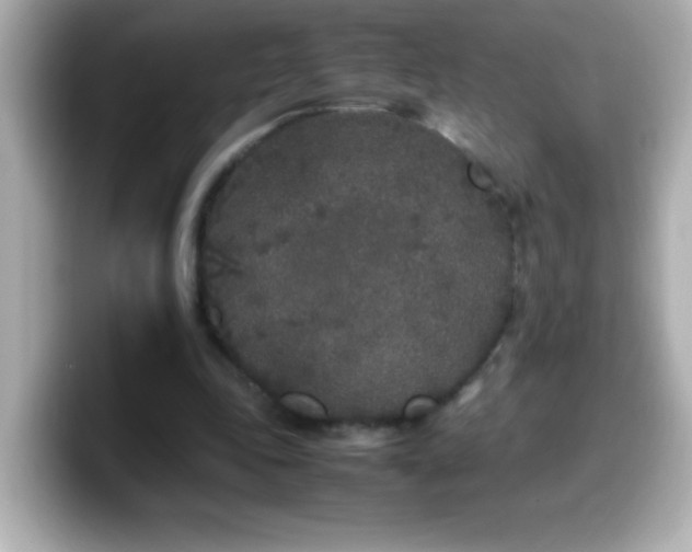 X0000099940343200805231256