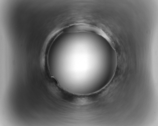 X0000099940344200805231256