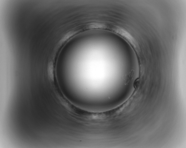 X0000099940345200805231256