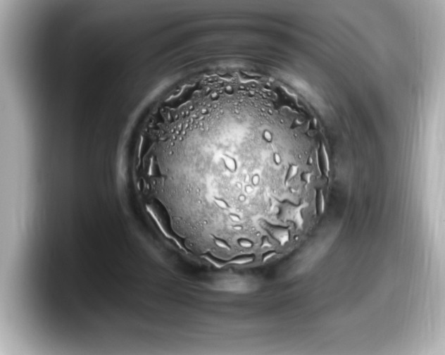 X0000099940347200805231256