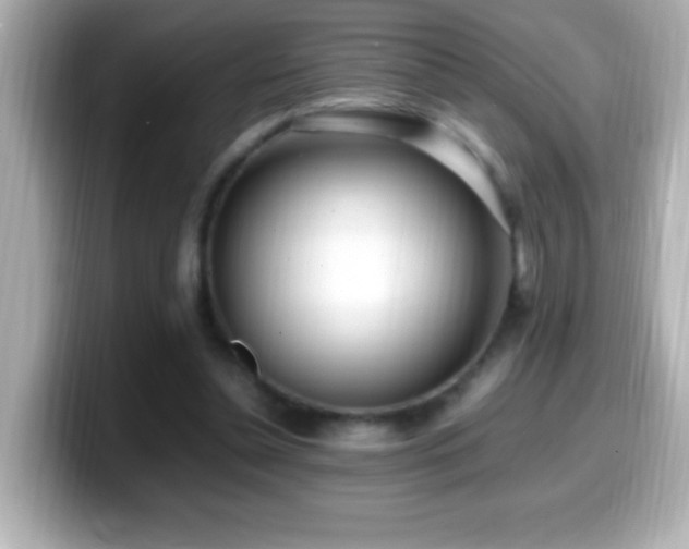 X0000099940348200805231256