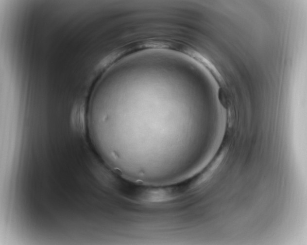 X0000099940349200805231256