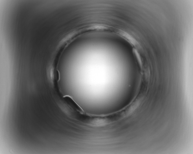 X0000099940350200805231256