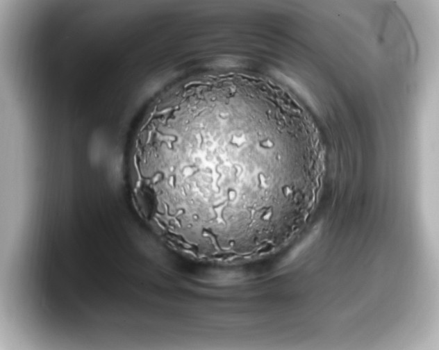 X0000099940351200805231256