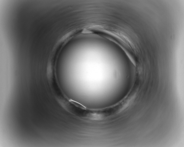X0000099940352200805231256