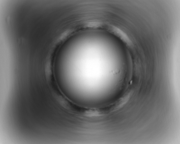 X0000099940354200805231256