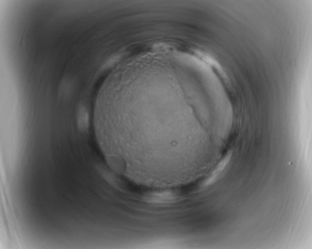 X0000099940357200805231256