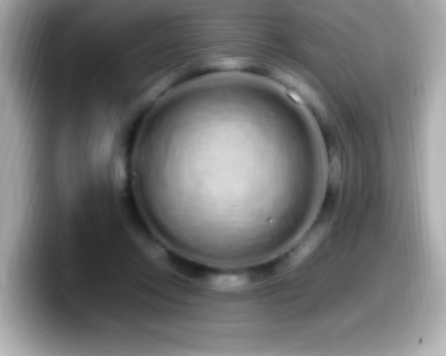 X0000099940358200805231256