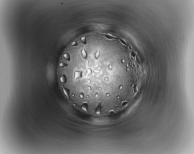 X0000099940359200805231256