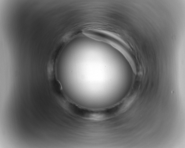 X0000099940360200805231256