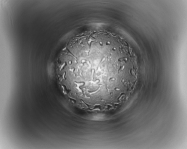X0000099940361200805231256