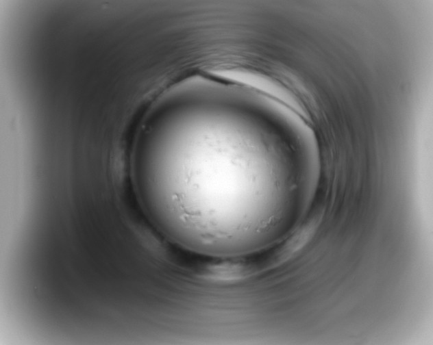 X0000099940362200805231256