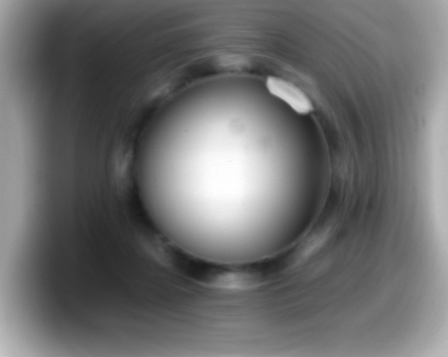 X0000099940364200805231256