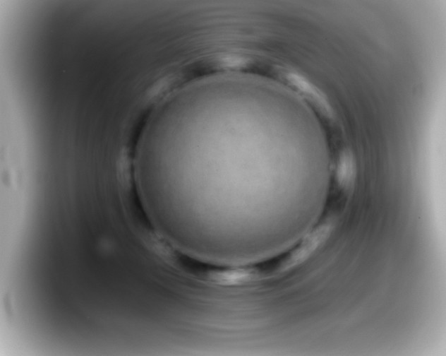 X0000099940366200805231256