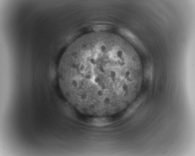 X0000099940367200805231256