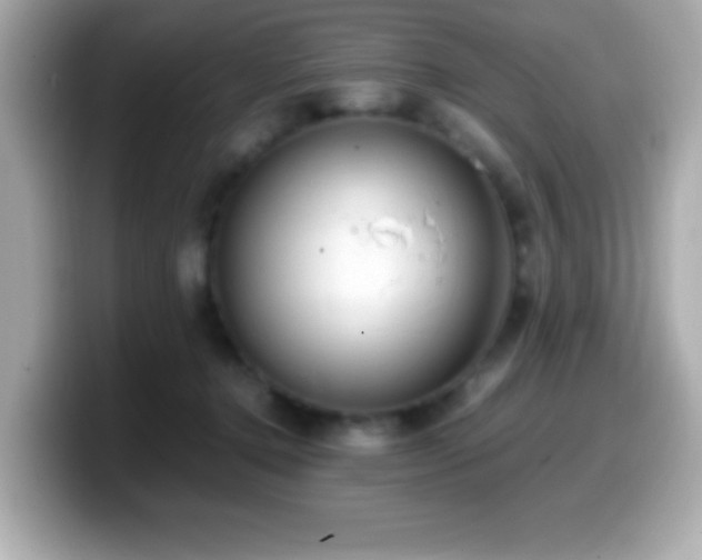 X0000099940368200805231256