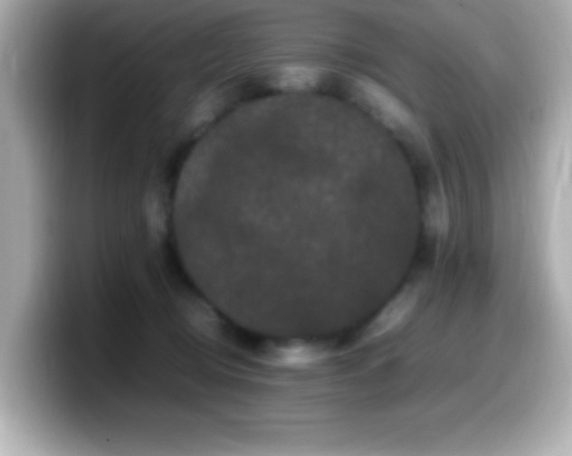 X0000099940370200805231257