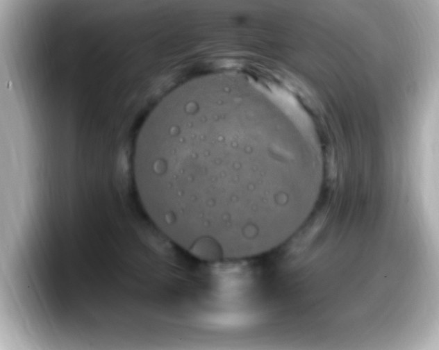 X0000099940373200805231257