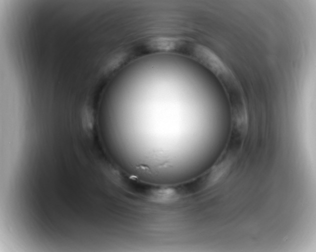 X0000099940374200805231257