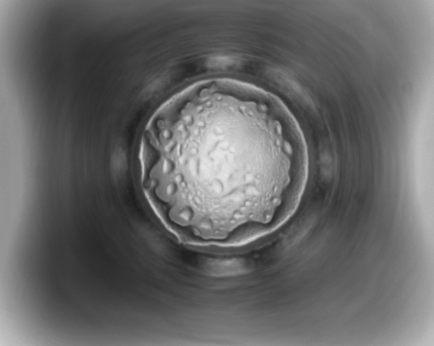 X0000099940375200805231257