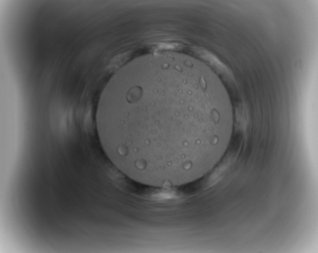 X0000099940377200805231257