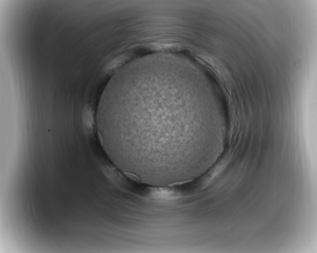X0000099940380200805231257
