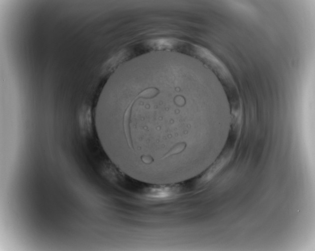 X0000099940381200805231257