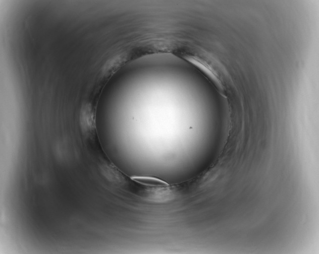 X0000099940384200805231257