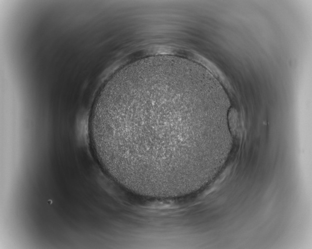 X0000099940386200805231256