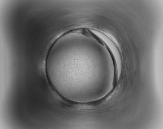 X0000099940389200805231256