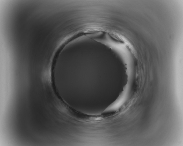 X0000099940391200805231256