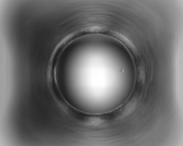 X0000099940392200805231256