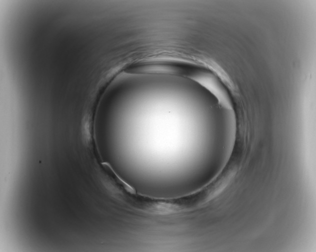 X0000099940393200805231256