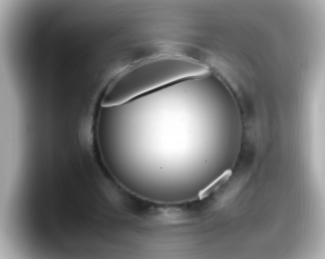X0000099940395200805231256