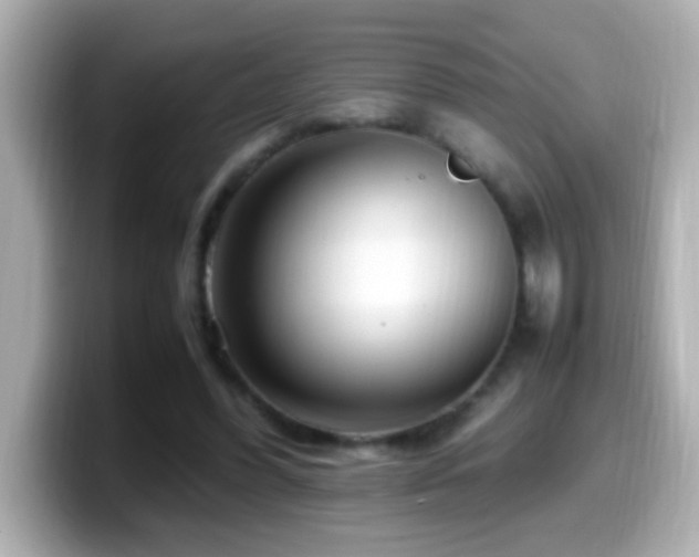 X0000099940396200805231256