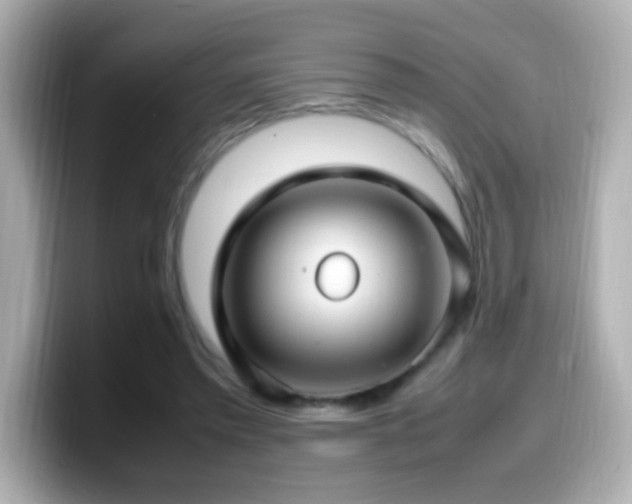 X0000099940397200805231256