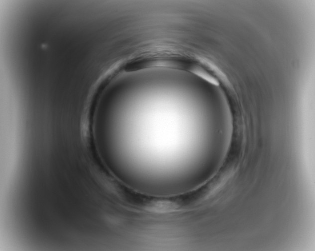 X0000099940399200805231256