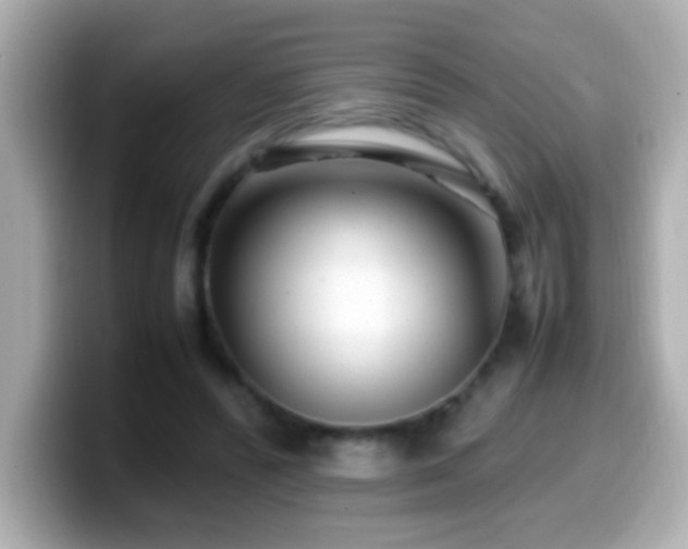 X0000099940400200805231256