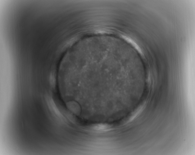 X0000099940402200805231256