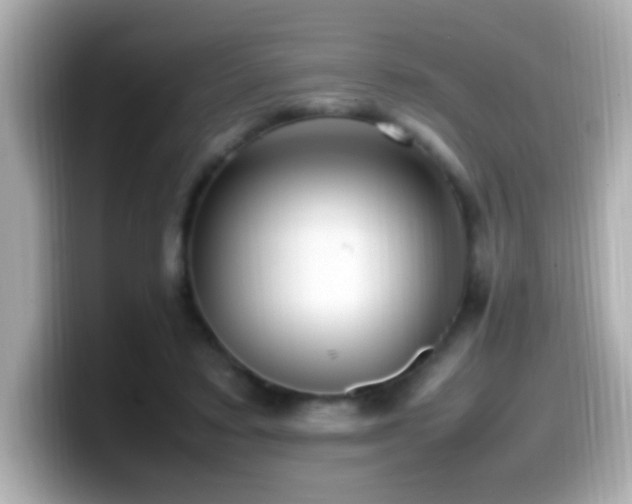 X0000099940403200805231256