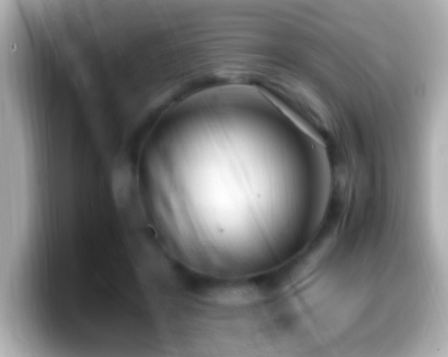 X0000099940404200805231256
